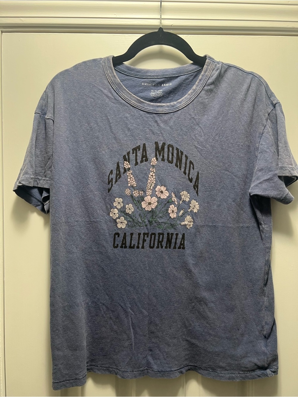American Eagle Outfitters Oversized Blue Santa Monica California Graphic Tee